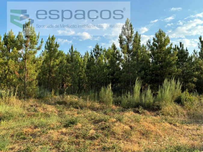 Terreno para Venda em Lavacolhos Foto 19