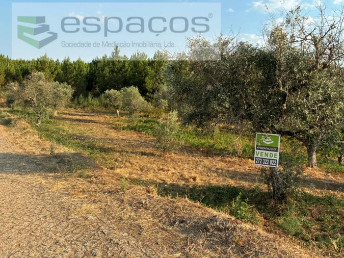 Terreno para Venda em Lavacolhos Foto 1
