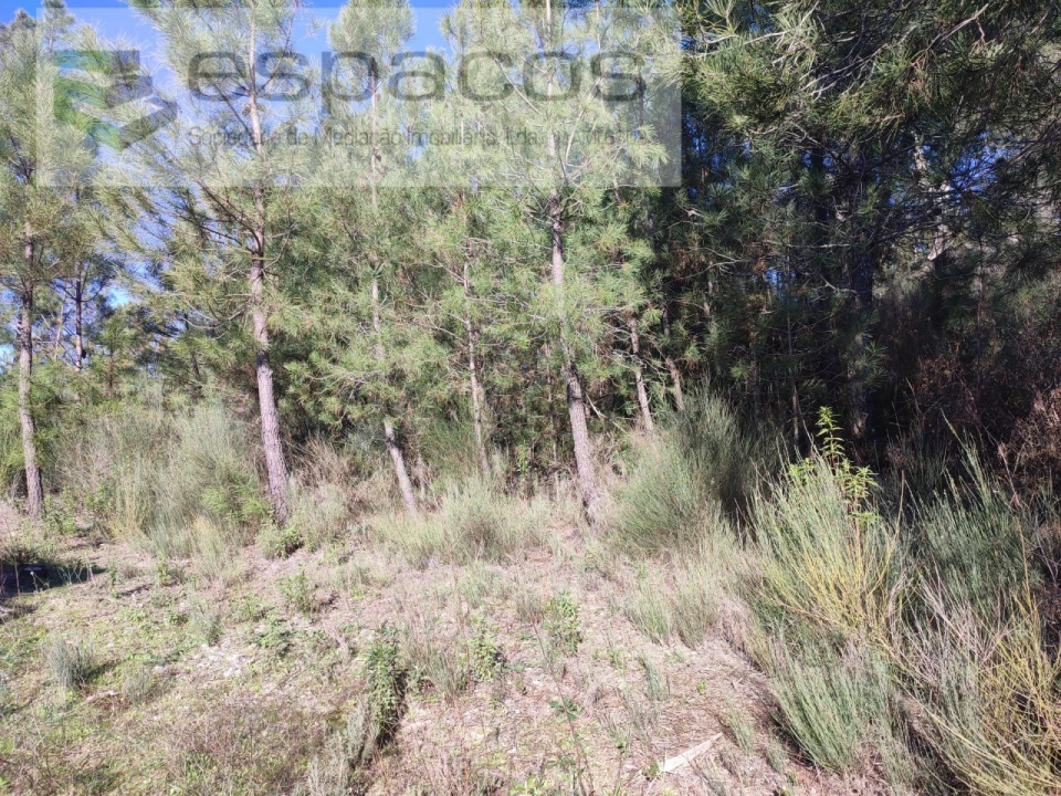 Moradia T4 para Venda em Monsanto e Idanha-A-Velha Foto 20