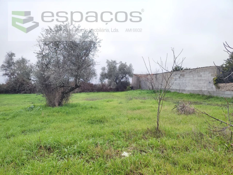 Moradia T3 para Venda em Castelo Branco Foto 15