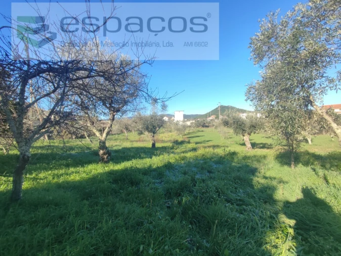 Moradia T4 para Venda em Montes da Senhora Foto 40