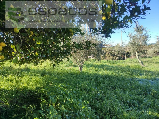 Moradia T4 para Venda em Montes da Senhora Foto 42