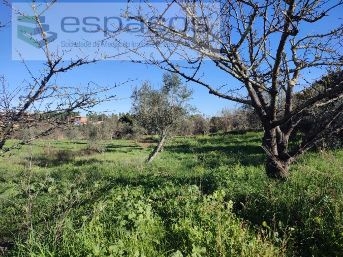 Moradia T4 para Venda em Montes da Senhora Foto 44