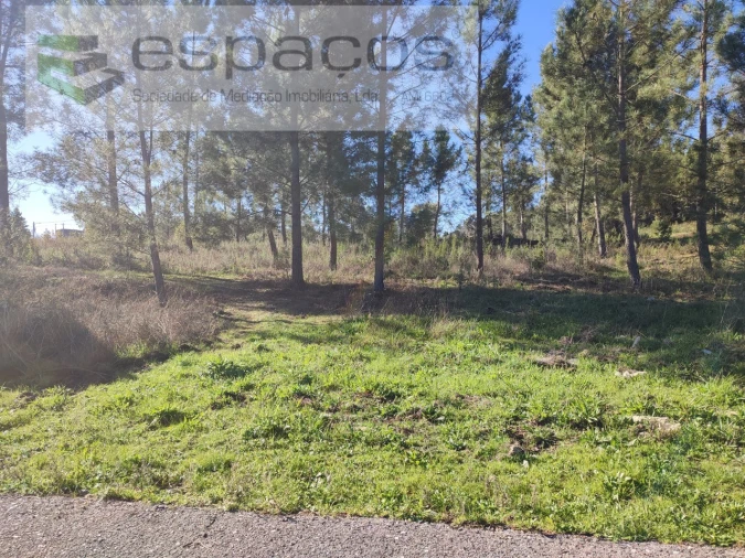 Moradia T4 para Venda em Montes da Senhora Foto 49