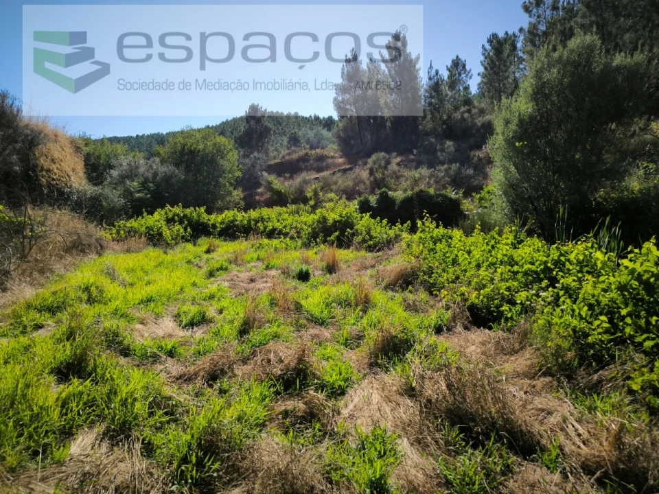 Quinta T1 para Venda em Lavacolhos Foto 7