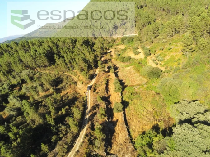 Quinta T1 para Venda em Lavacolhos Foto 11