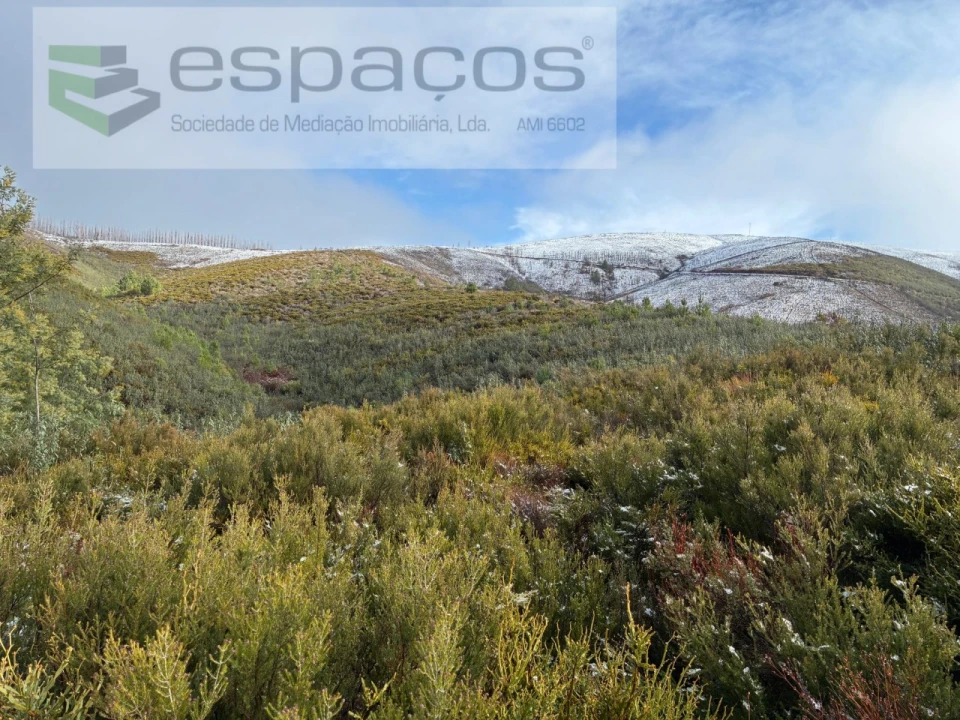 Terreno para Venda em Lavacolhos Foto 2