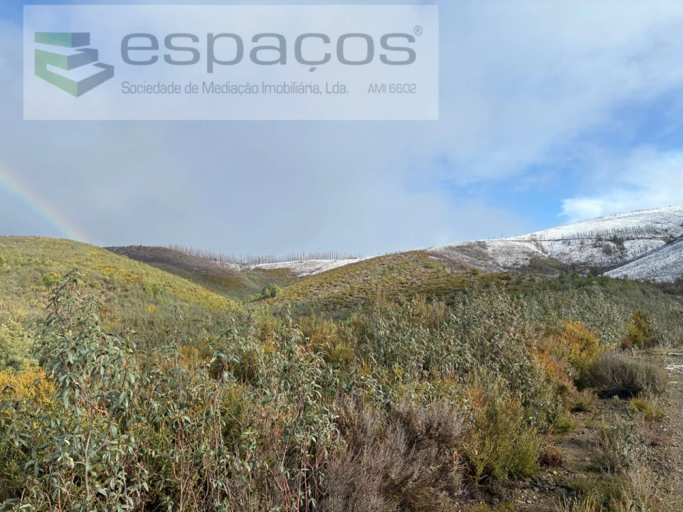 Terreno para Venda em Lavacolhos Foto 3