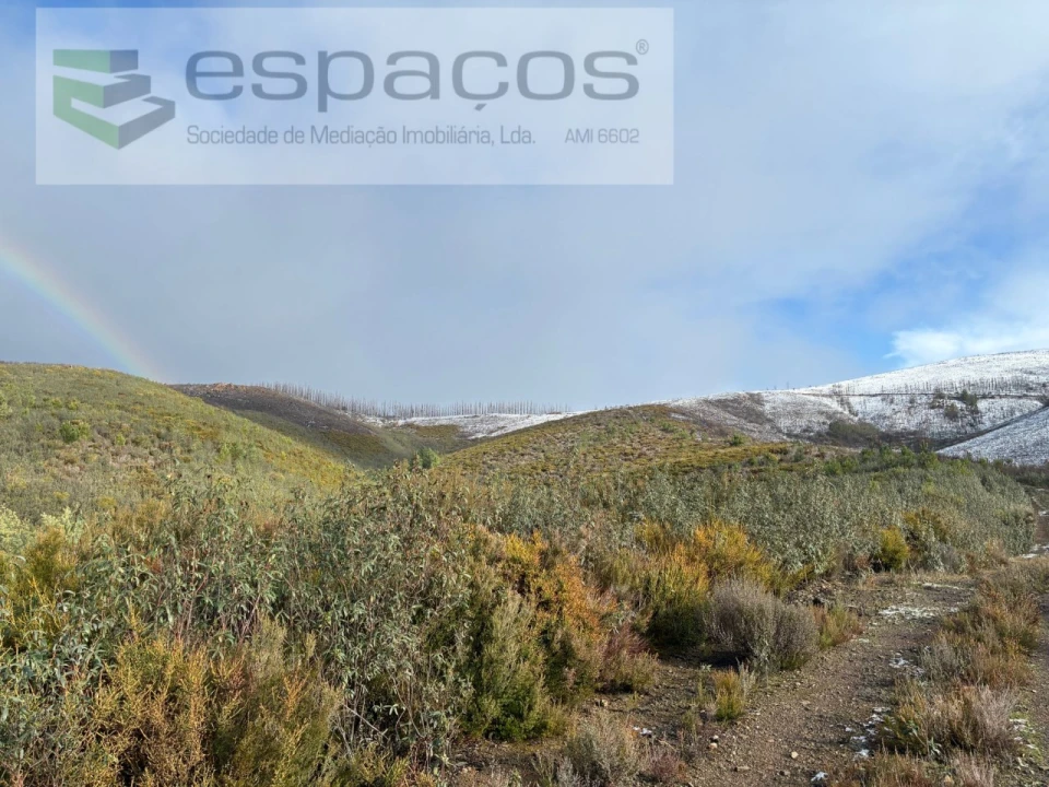 Terreno para Venda em Lavacolhos Foto 7