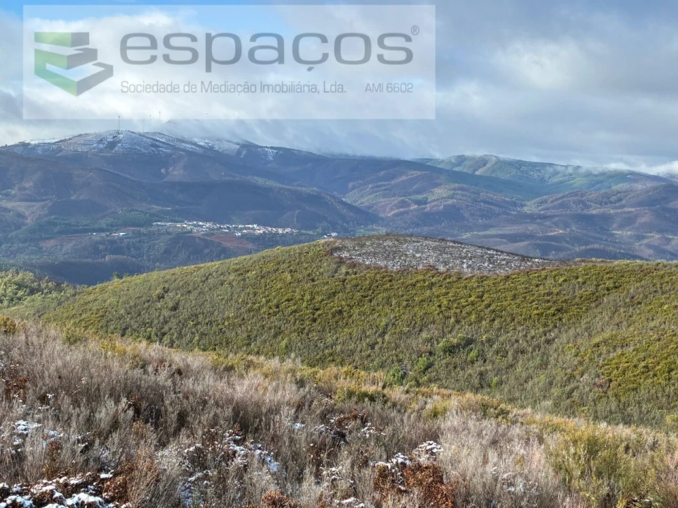 Terreno para Venda em Lavacolhos Foto 8