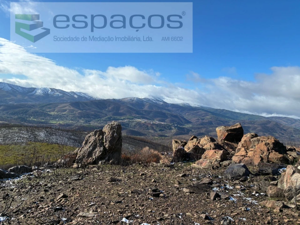 Terreno para Venda em Lavacolhos Foto 11