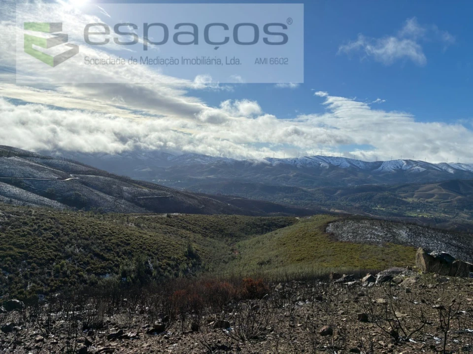 Terreno para Venda em Lavacolhos Foto 12