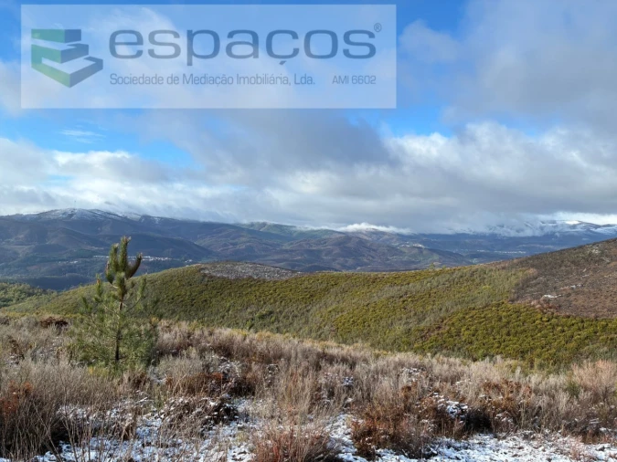 Terreno para Venda em Lavacolhos Foto 5
