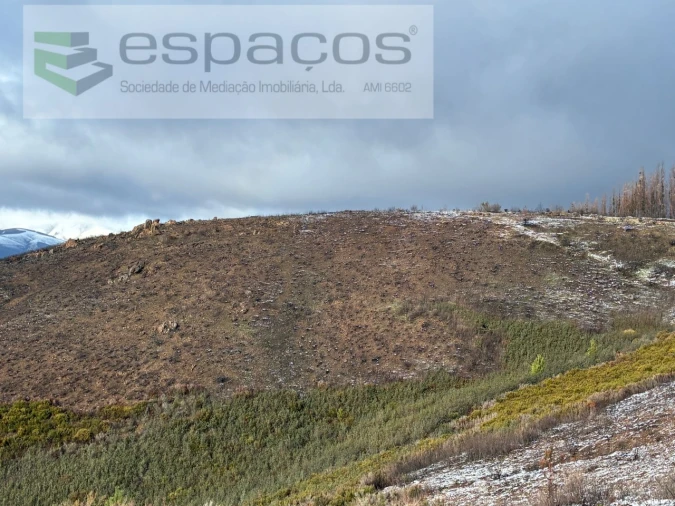 Terreno para Venda em Lavacolhos Foto 9