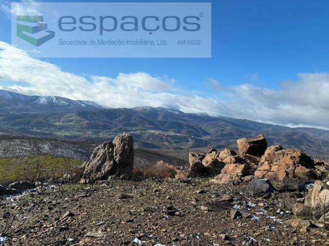 Terreno para Venda em Lavacolhos Foto 11