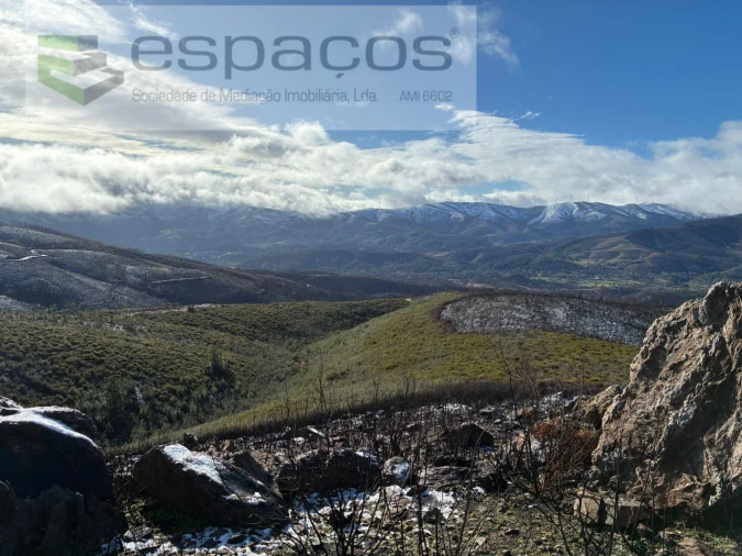 Terreno para Venda em Lavacolhos Foto 14
