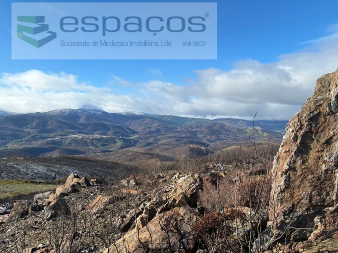 Terreno para Venda em Lavacolhos Foto 16
