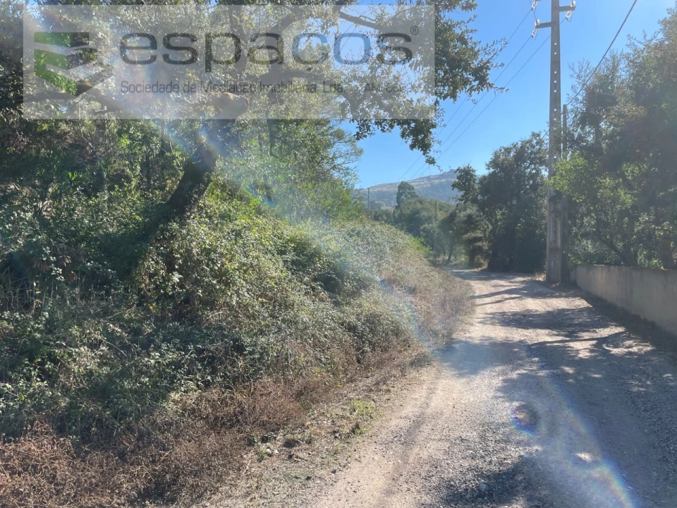 Terreno Agricola ou Rústico para Venda em Milharado Foto 6