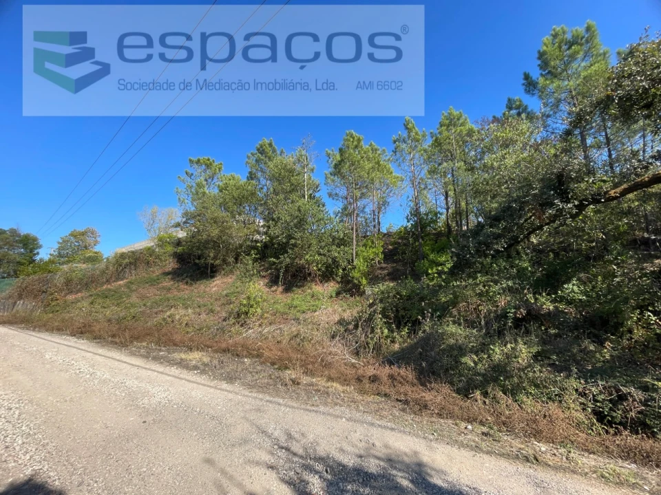 Terreno Agricola ou Rústico para Venda em Milharado Foto 7