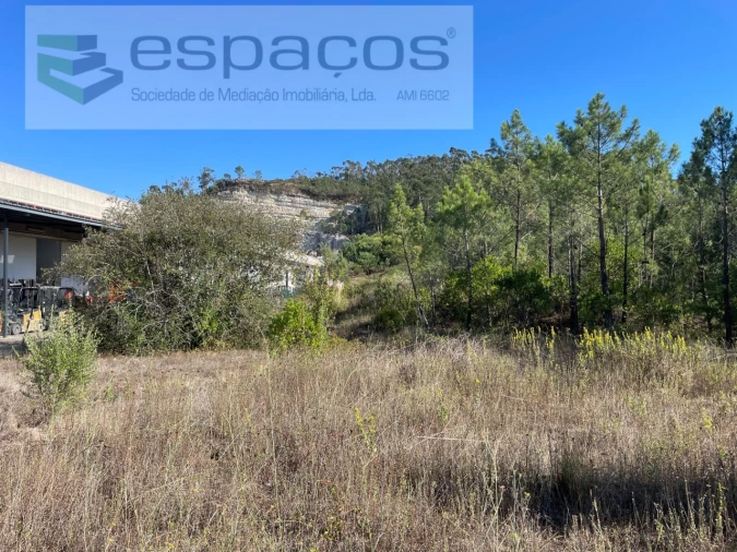 Terreno Agricola ou Rústico para Venda em Milharado Foto 3