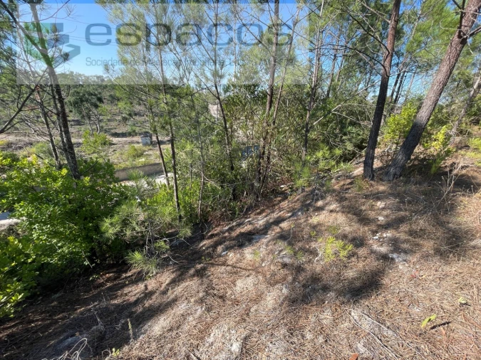 Terreno Agricola ou Rústico para Venda em Milharado Foto 5
