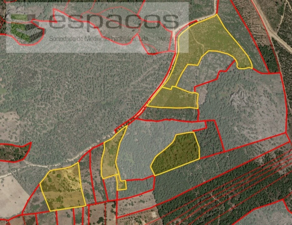 Quinta para Venda em Penha Garcia Foto 49