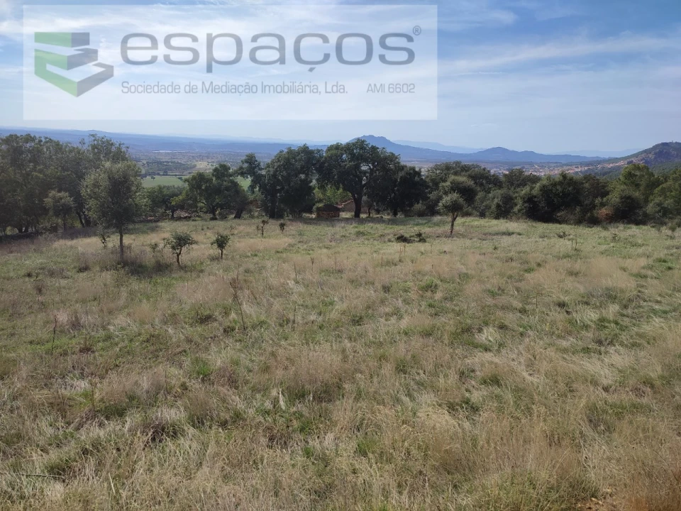 Quinta para Venda em Penha Garcia Foto 26
