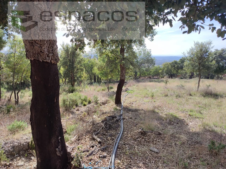 Quinta para Venda em Penha Garcia Foto 33