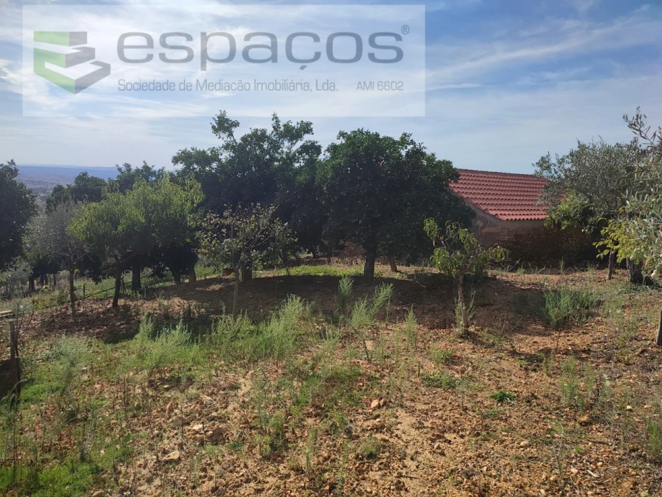 Quinta para Venda em Penha Garcia Foto 25