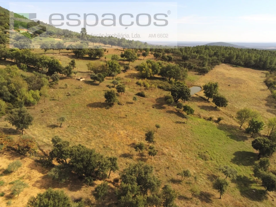 Quinta para Venda em Penha Garcia Foto 46