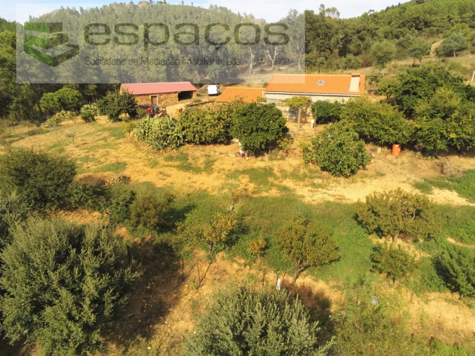 Quinta para Venda em Penha Garcia Foto 7