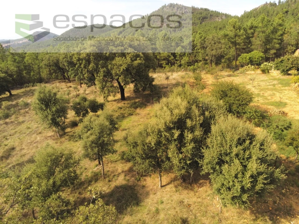 Quinta para Venda em Penha Garcia Foto 47