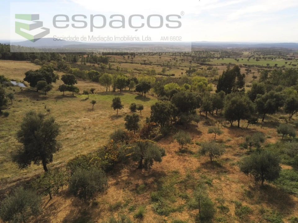 Quinta para Venda em Penha Garcia Foto 48