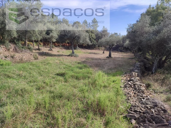 Quinta para Venda em Penha Garcia Foto 30