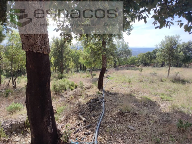 Quinta para Venda em Penha Garcia Foto 33