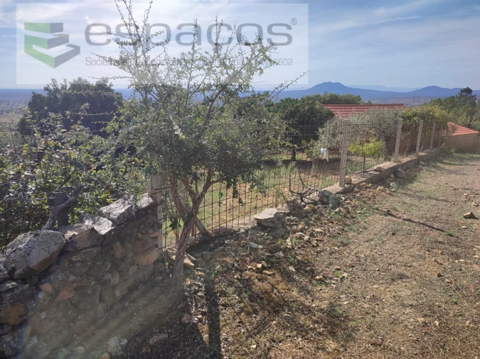 Quinta para Venda em Penha Garcia Foto 22