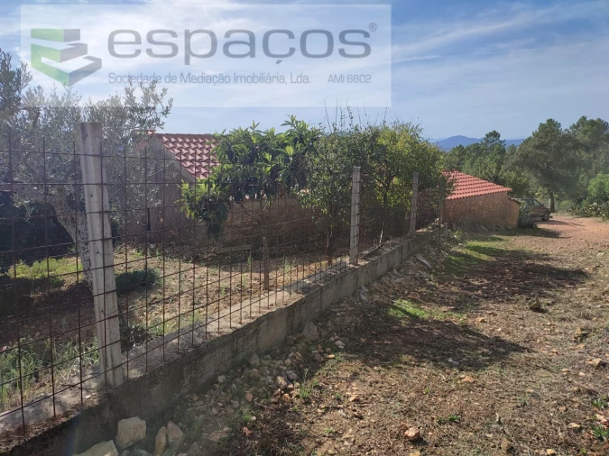 Quinta para Venda em Penha Garcia Foto 23