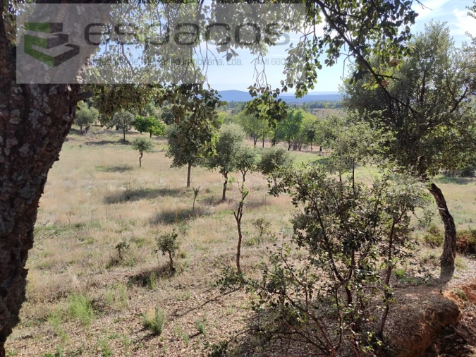Quinta para Venda em Penha Garcia Foto 42
