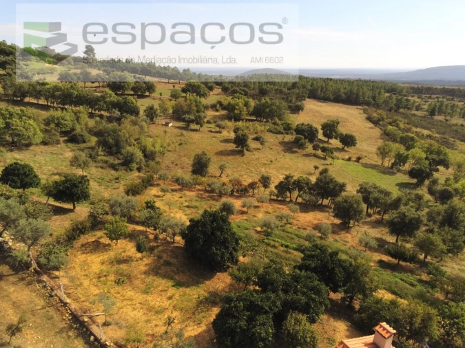 Quinta para Venda em Penha Garcia Foto 44