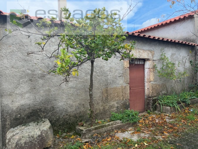 Quinta T3 para Venda em Vale de Prazeres e Mata da Rainha Foto 3