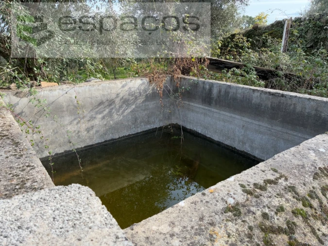 Quinta T3 para Venda em Vale de Prazeres e Mata da Rainha Foto 31