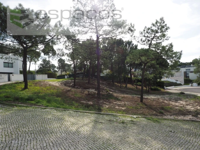 Terreno para Venda em Carvalhal Foto 4