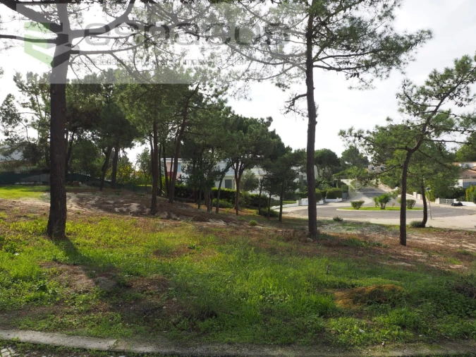 Terreno para Venda em Carvalhal Foto 3