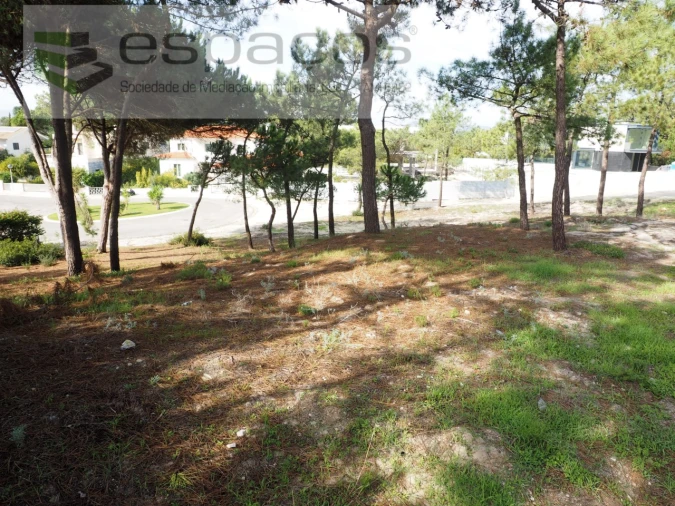 Terreno para Venda em Carvalhal Foto 6