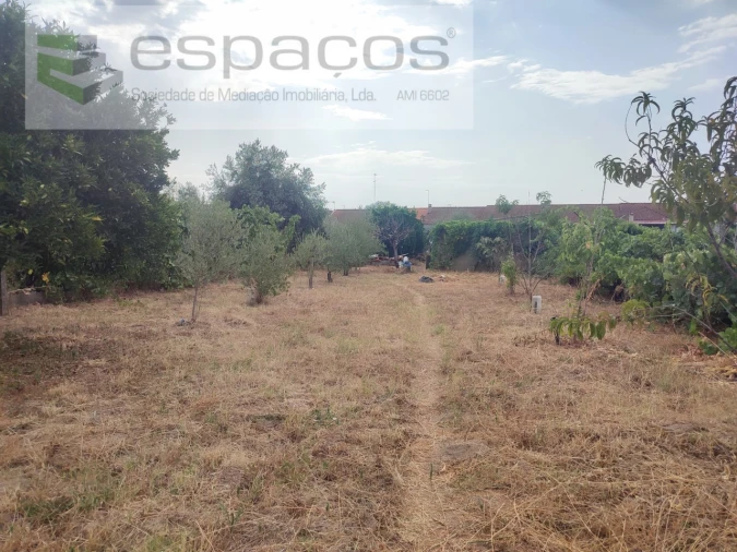 Moradia T4 para Venda em Escalos de Cima e Lousa Foto 34