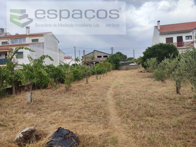 Moradia T4 para Venda em Escalos de Cima e Lousa Foto 35