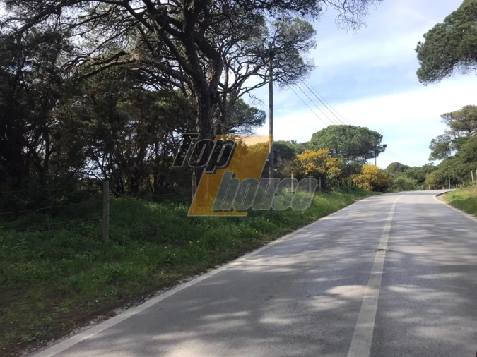 Moradia T4 para Venda em Charneca de Caparica e Sobreda Foto 19