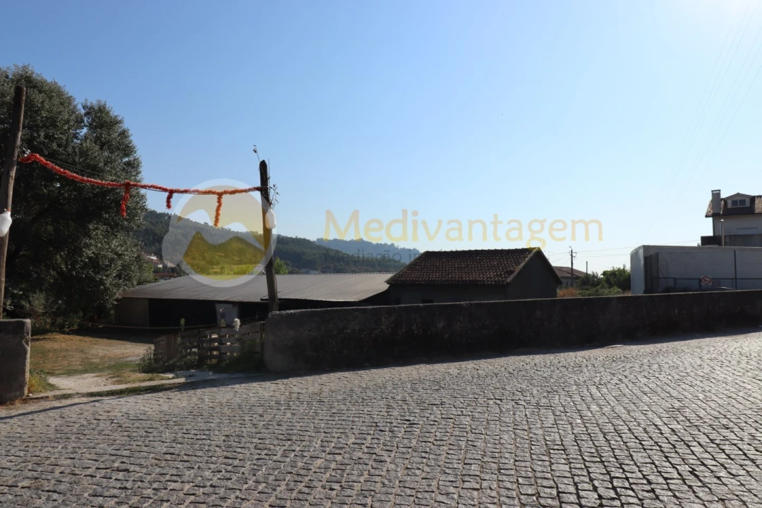 Terreno para Venda em Este (São Pedro e São Mamede) Foto 3