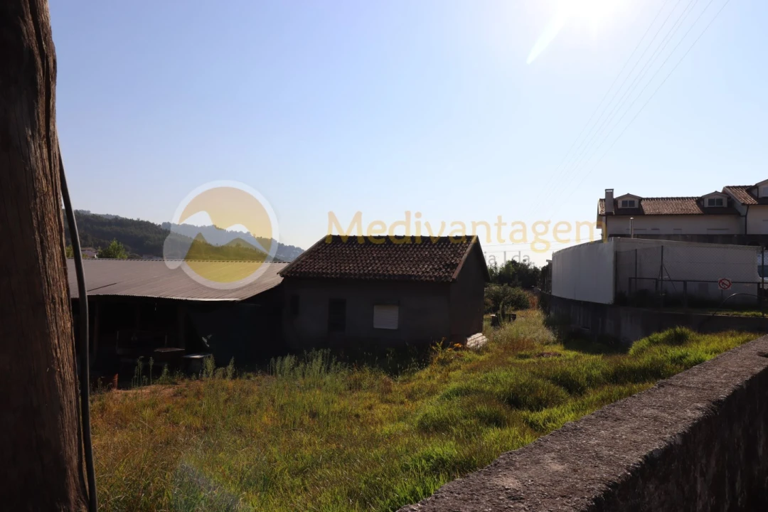 Terreno para Venda em Este (São Pedro e São Mamede) Foto 4