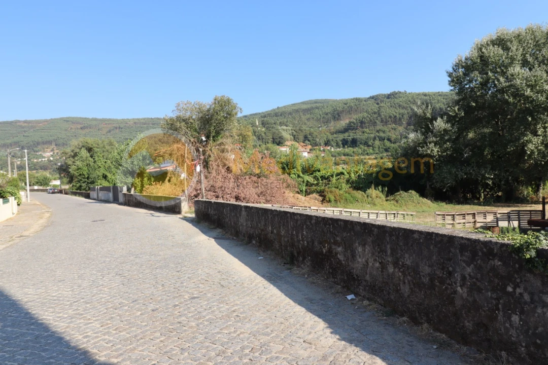 Terreno para Venda em Este (São Pedro e São Mamede) Foto 5